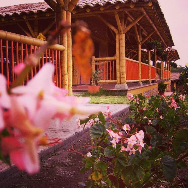 Finca El Diamante Villa Calarcá Екстериор снимка