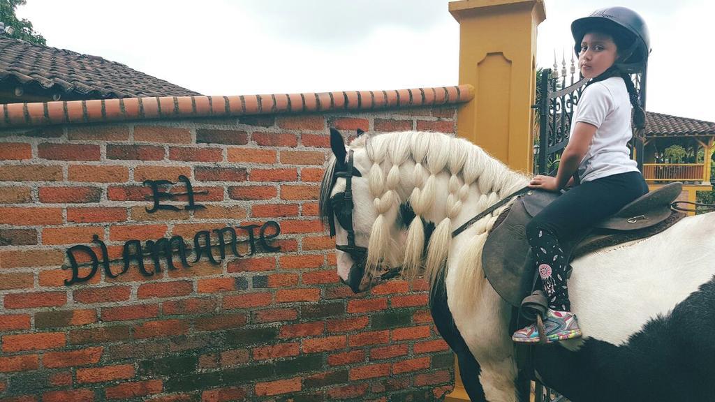 Finca El Diamante Villa Calarcá Екстериор снимка