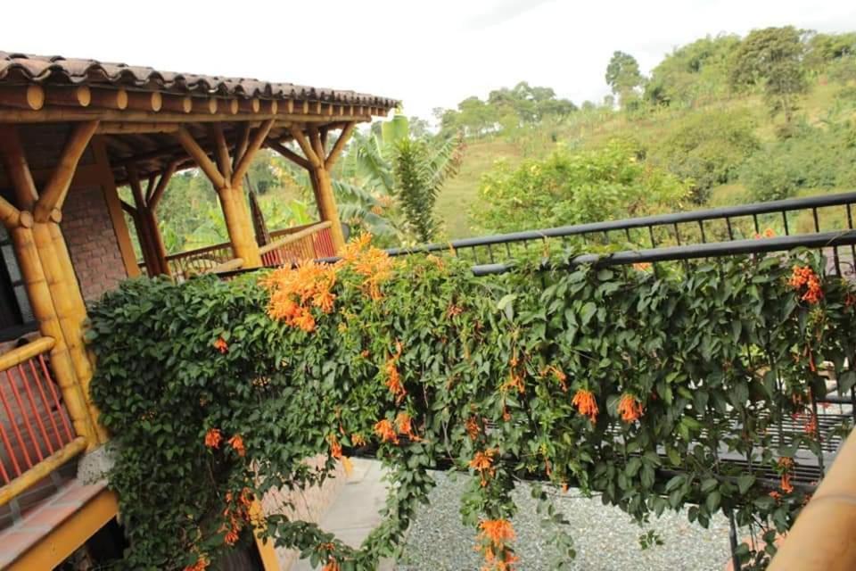 Finca El Diamante Villa Calarcá Екстериор снимка